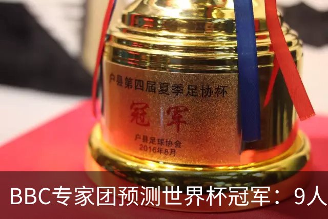 BBC专家团预测世界杯冠军：9人支持法国、鲁尼等7人选英格兰